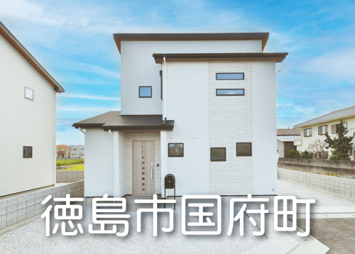 徳島市国府町池尻字落川（6号地）